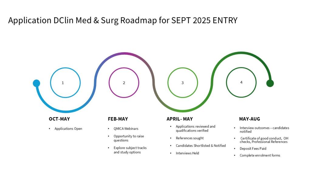 2025 DClin Med & Surg application roadmap